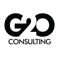 G2O Consulting logo - Similar company to Jamsession Design