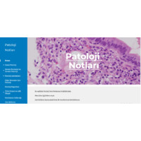 Patoloji Notları logo - Similar company to Marmara Pathology Laboratory