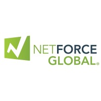 NetForce Global logo - Similar company to Informdata
