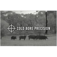 Cold Bore Precision, Veteran owned and operated. logo - Similar company to Pantheon Computers