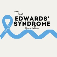 The Edwards' Syndrome Association logo - Similar company to Budgetdog