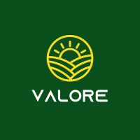 Valore logo - Similar company to Nativa Carbono