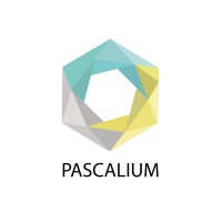 Pascalium logo - Similar company to Challengesoft