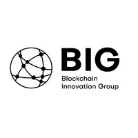 Blockchain Innovation Group AG logo - Similar company to Blockchain Wizards