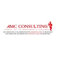AMC Consulting logo - Similar company to Gic Sa