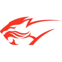 TORA TECH JOINT STOCK COMPANY logo - Similar company to Thora Cyber Security