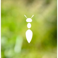 Atelier Nature et Territoires logo - Similar company to Cfppa18 - Bourges Le Subdray