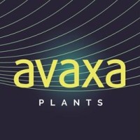 Avaxa Plants B.V. Online Quality Traders logo - Similar company to Kassaplan - De Retail Leverancier