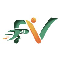 FittVybe logo - Similar company to Build Your Skill