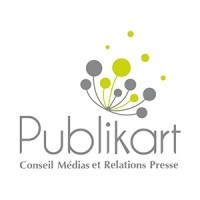 Publikart RP logo - Similar company to Virtual Minds