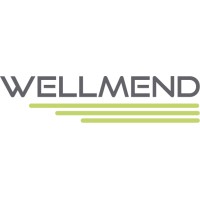 WellMend logo - Similar company to Smart Crowding