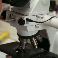 MFT Laboratory Medicine logo - Similar company to Deans Constructions Uk