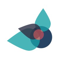 Trillium Consulting logo - Similar company to Enterprise Management Systems