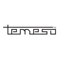 Temeso logo - Similar company to Fixar Bv