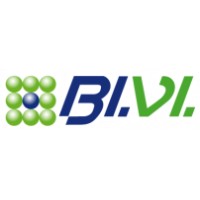 BIVI logo - Similar company to Ma.Mi