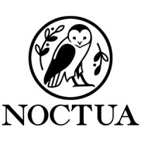 Noctua: Women's Silk Scarves logo - Similar company to Scarves.Net