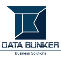 Data Bunker logo - Similar company to Data Visualist