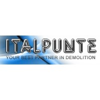 Italpunte Srl logo - Similar company to Glitch Design