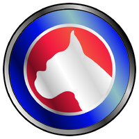 Synt Chemical srl logo - Similar company to Nettuno Eco Service