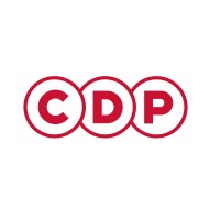 CDP Group logo - Similar company to Sc-Ope