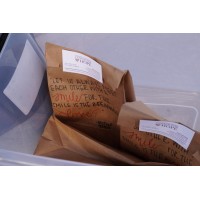 The Paper Bag Crew