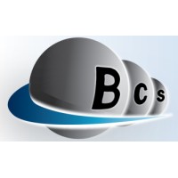 Bellwether Consultancy Services Pvt. Ltd. logo - Similar company to Scribblr Media