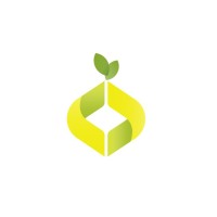 lemoni design