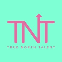 True North Talent logo - Similar company to White Label Recruitment