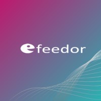Efeedor logo - Similar company to Simplifiedminds