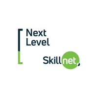 Next Level Skillnet logo - Similar company to O'Brien Learning Solutions