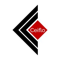Ceiflo Technologies Pvt Ltd logo - Similar company to Select True Tech Private Limited