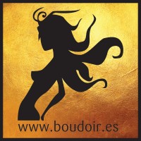 Boudoir Erotic Boutique logo - Similar company to Chirag Creative Solutions