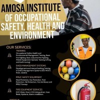 AMOSA INSTITUTE OF OCCUPATIONAL SAFETY, HEALTH AND ENVIRONMENT (AIOSHE) logo - Similar company to Aurich