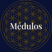 Médulos logo - Similar company to Balticfields