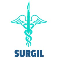 SURGICAL INTEREST GROUP LAGOS (SURGIL) logo - Similar company to Kb Klub