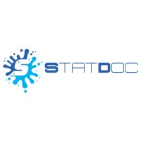 StatDoc IT Solutions Pvt Ltd logo - Similar company to Statdoc