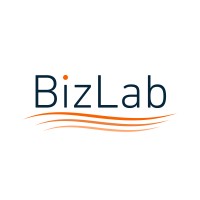 BizLab Analytics logo - Similar company to Dzly