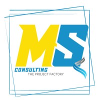 MS Consulting - The Project Factory ! logo - Similar company to Fragma-Soft