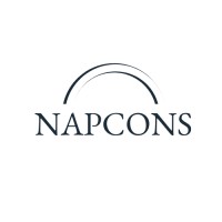 Napcons Business Consulting logo - Similar company to Napeans Technologies