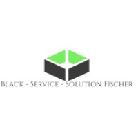 Black-Service-Solution Fischer logo - Similar company to Consultancy Services