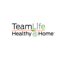 TeamLife Health Group logo - Similar company to Lbingenuity