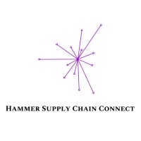 Hammer Supply Chain Connect logo - Similar company to Skybox Systems Consulting