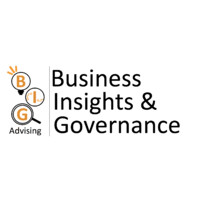 Business Insights & Governance Advising logo - Similar company to Plus Software