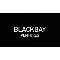 BlackBay Holdings logo - Similar company to Blackbay Films
