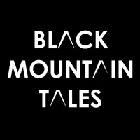 Black Mountain Tales Ltd logo - Similar company to Vse International