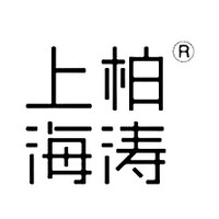 Shanghai PTArchitect logo - Similar company to St Architects