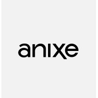 Anixe logo - Similar company to On Filter Angola