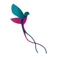 Kwekerij Duijn-Hove B.V. logo - Similar company to Easyflor Bv