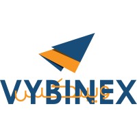 Vybinex Marketing Services logo - Similar company to Webiance - Digital Marketing Services Agency