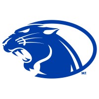 Panther IT logo - Similar company to Rays Tech Solutions Inc